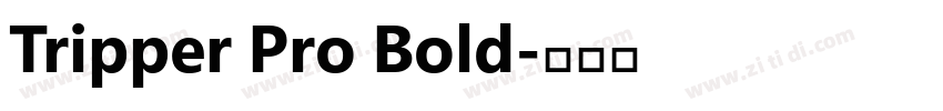 Tripper Pro Bold字体转换